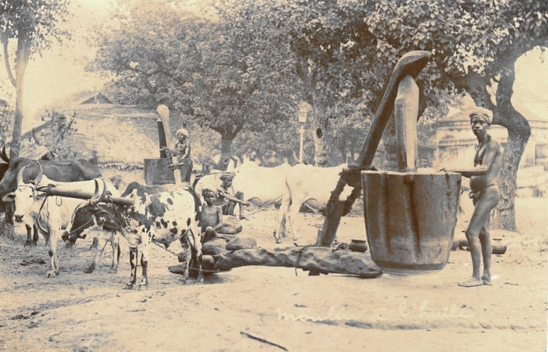 13-17 - Pondichery - moulin a huile - 4